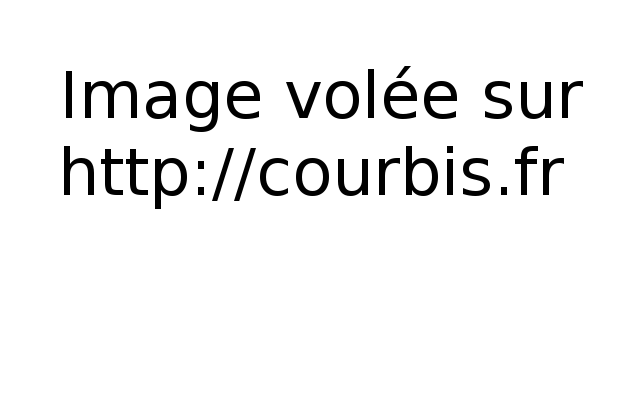 (c) Courbis www.courbis.fr   Fichier pdf disponible sur http://www.courbis.comRedistribution/mirroring strictement interdits  Version 3.02  http:  //ww  w.co  urbis  .com  9  CHAPITRE PREMIER Alain Montfranc  e'tait assis devant un bureaume'tallique  a` la peinture  e'caille'e, occup e'  a` taper un rapport sur une machine  a`  e'crire qu 'il qualifiait'd'assez ancienne pour avoir servi  a` dactylographier le flash spe'cial annonc,ant la naissance du Christ '. Onpouvait dire qu'il e'tait pluto^t grand, puisqu'il mesurait 1 m 83, et ses traits  e'nergiques refl e'taient soncaracte`re de'cide', quelquefois passionne'.  Le t e'le'phone se mit  a` sonner, mais il prit le tempsde terminer pos e'ment sa phrase avant de le de'crocher :-- Montfranc, dit-il d 'un ton ferme, en se renversant dans son fauteuil.-- Salut vieille branche ! lui r e'pondit une voix lointaine qu'il connaissait bien.-- Marc ! Comment vas-tu ?  -- C,a va plut o^t bien ...  J'ai chang e' de service :maintenant je suis a` l'identite'. -- Tu passes la journ e'e  a` contempler des portraitset  a` classer des fiches poussi e'reuses, je suppose ? ironisa Alain.-- Toujours ton foutu sens de l 'humour ! Il se trouve, vois-tu, que le service est compl e`tement