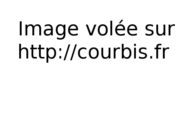 (c) Courbis www.courbis.fr   Fichier pdf disponible sur http://www.courbis.comRedistribution/mirroring strictement interdits  Version 3.02  http:  //ww  w.co  urbis  .com  116